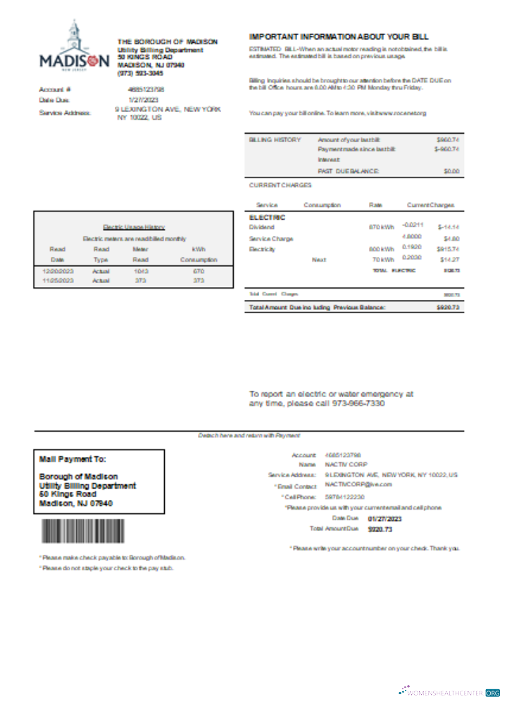 Download Madison Electric Department utility business bill, SCR Photoshop template